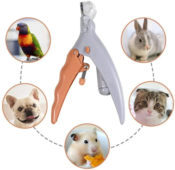 Professional LED Pet Nail Clipper Scissors for Cats & Dogs 🐾