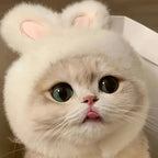 Bunny Ears Cat Hat – Adorable Pet Costume Headwear 🐰🐾