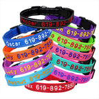 🐶 Adjustable Nylon Embroidered Dog Collar – Custom Name ID Tag