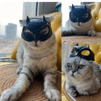 Cat Bat Mask – Whimsical Feline Costume Accessory 🐾🦇
