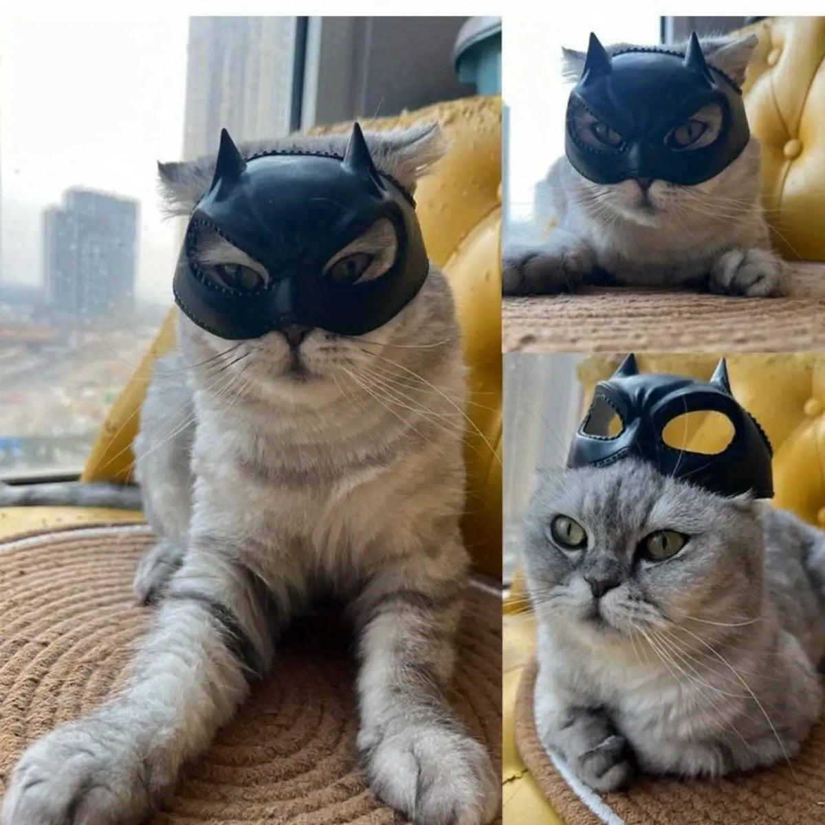 Cat Bat Mask – Whimsical Feline Costume Accessory 🐾🦇