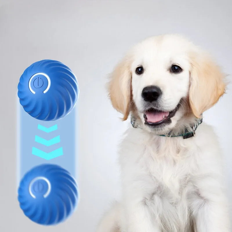 Intelligent Jumping Dog Ball – Automatic Interactive Chew Toy 🐾