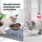 Elevated Stainless Steel Cat Bowl – 15° Tilted Neck Guard Healthy Feeding Bowl