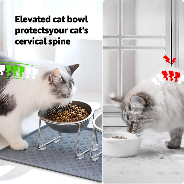 Elevated Stainless Steel Cat Bowl – 15° Tilted Neck Guard Healthy Feeding Bowl