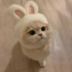 Bunny Ears Cat Hat – Adorable Pet Costume Headwear 🐰🐾
