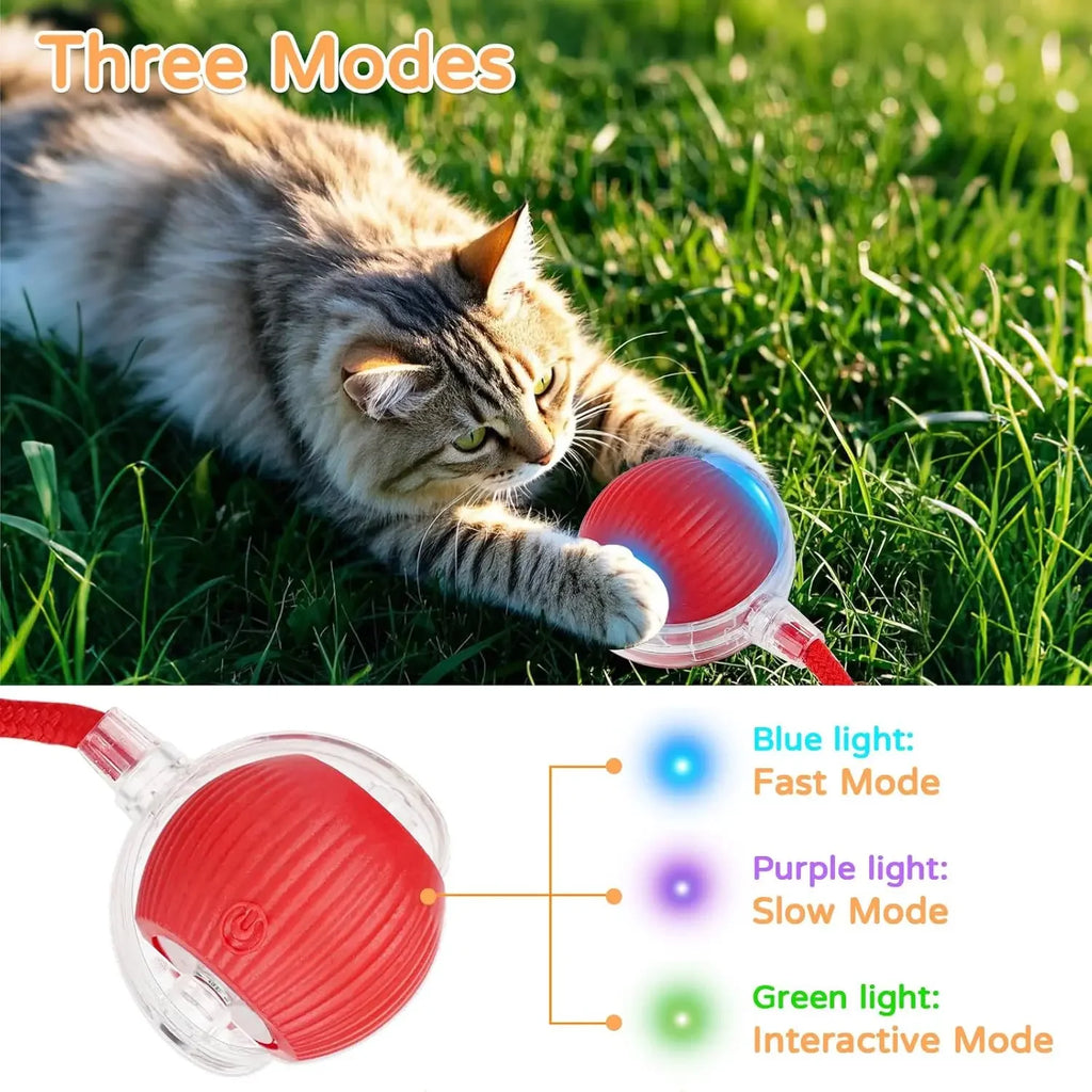 Smart Pet Interactive Rolling Ball Toy – Dog & Cat Electric Training Fun ⚡🐾