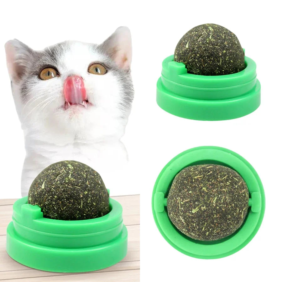 Spinning Catnip Mint Ball for Cats 🐱🌿