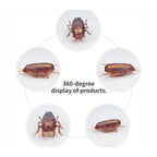 Funny Simulation Cockroach Pet Toy for Cats & Dogs 🐾