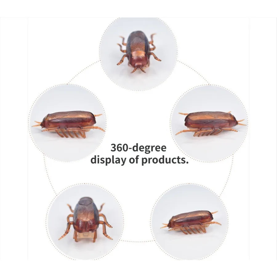 Funny Simulation Cockroach Pet Toy for Cats & Dogs 🐾