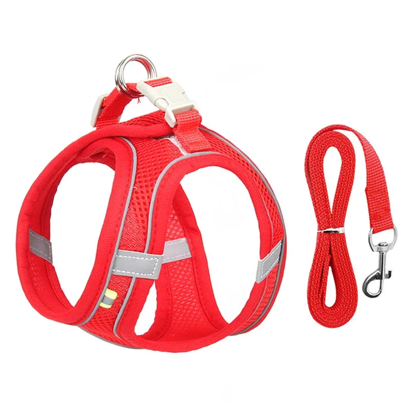 🐶 Puppy & Cat Harness Set – Adjustable Harness Vest with Leash for Small Dogs