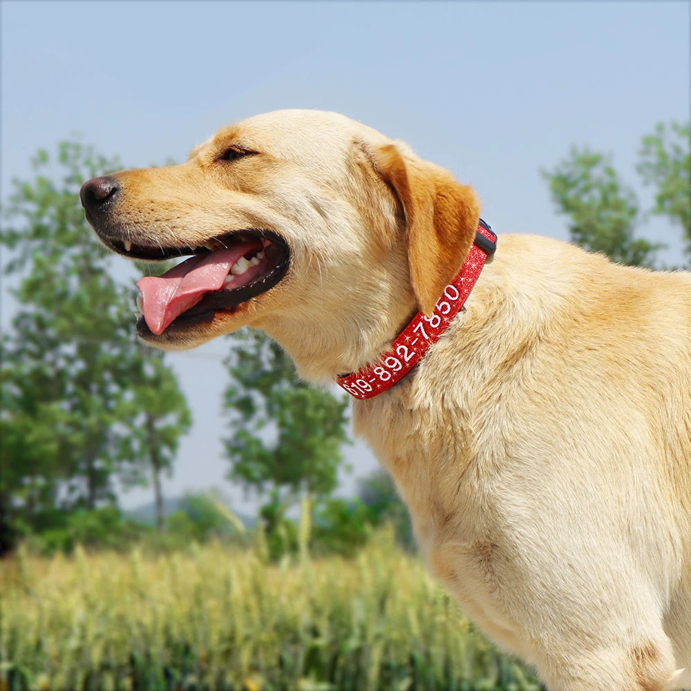 🐶 Adjustable Nylon Embroidered Dog Collar – Custom Name ID Tag