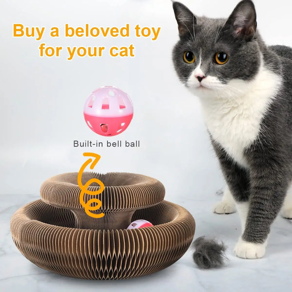 Magic Organ Cat Toy – Interactive Corrugated Scratching Post for Cats 🐾