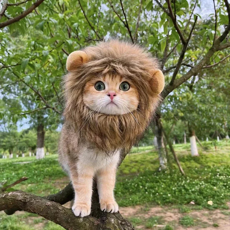 Lion Mane Pet Wig – Turn Your Cat or Dog into the King of the Jungle! 🦁