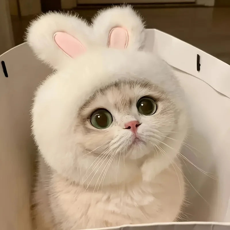 Bunny Ears Cat Hat – Adorable Pet Costume Headwear 🐰🐾