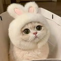 Bunny Ears Cat Hat – Adorable Pet Costume Headwear 🐰🐾