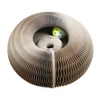 Magic Organ Cat Toy – Interactive Corrugated Scratching Post for Cats 🐾