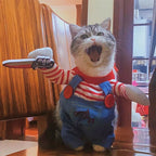 Funny Cat Clothes – Halloween & Cosplay Costume for Small & Medium Pets 🐾🎃