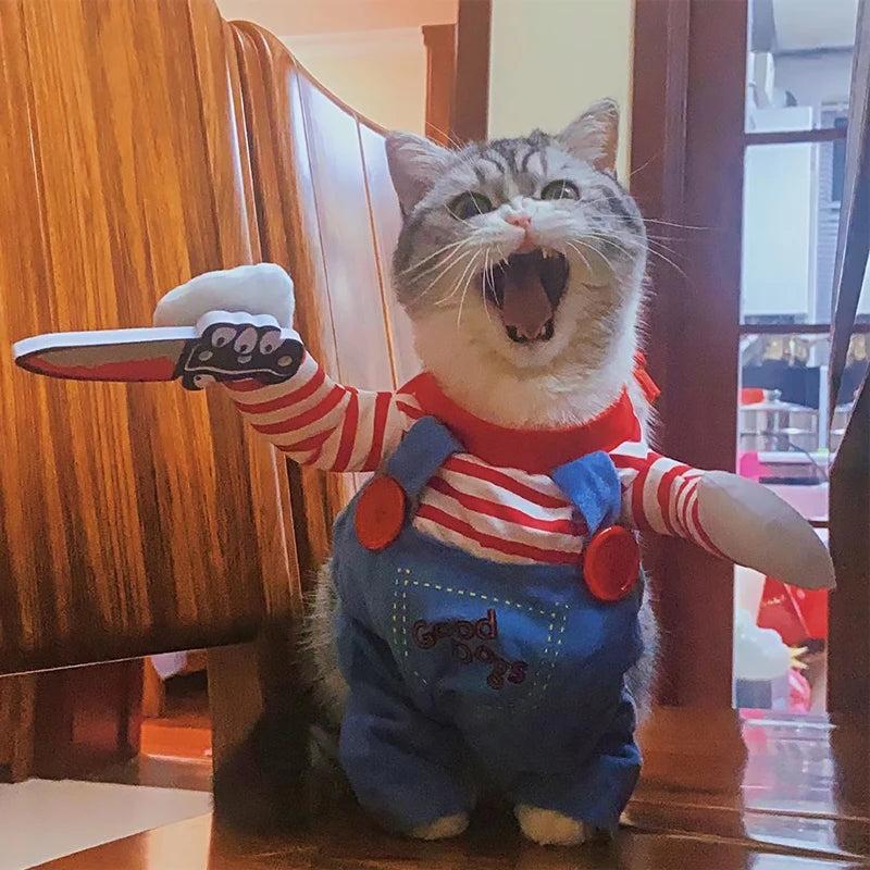 Funny Cat Clothes – Halloween & Cosplay Costume for Small & Medium Pets 🐾🎃