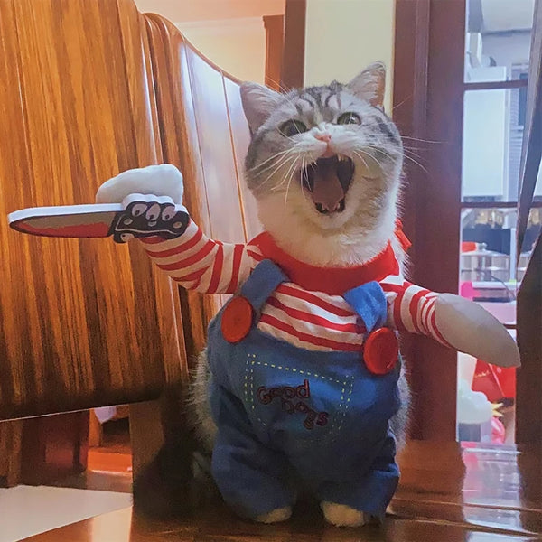 Funny Cat Clothes – Halloween & Cosplay Costume for Small & Medium Pets 🐾🎃