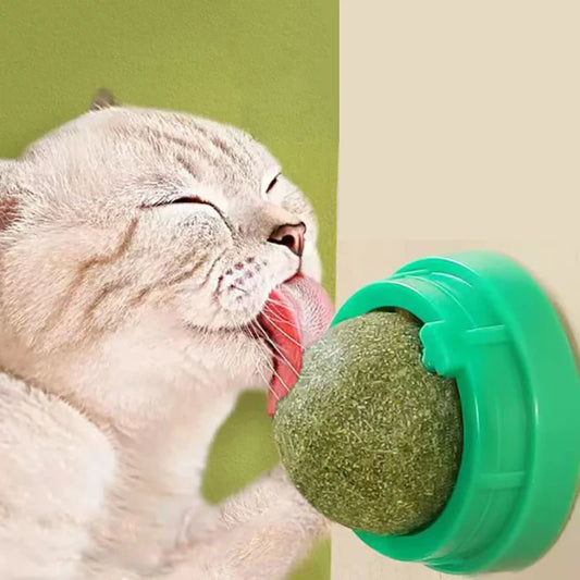 🐾 Catnip Cat Wall Stick-On Ball Toy – Natural Treat &amp; Interactive Scratcher for Cats