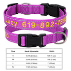 🐶 Adjustable Nylon Embroidered Dog Collar – Custom Name ID Tag