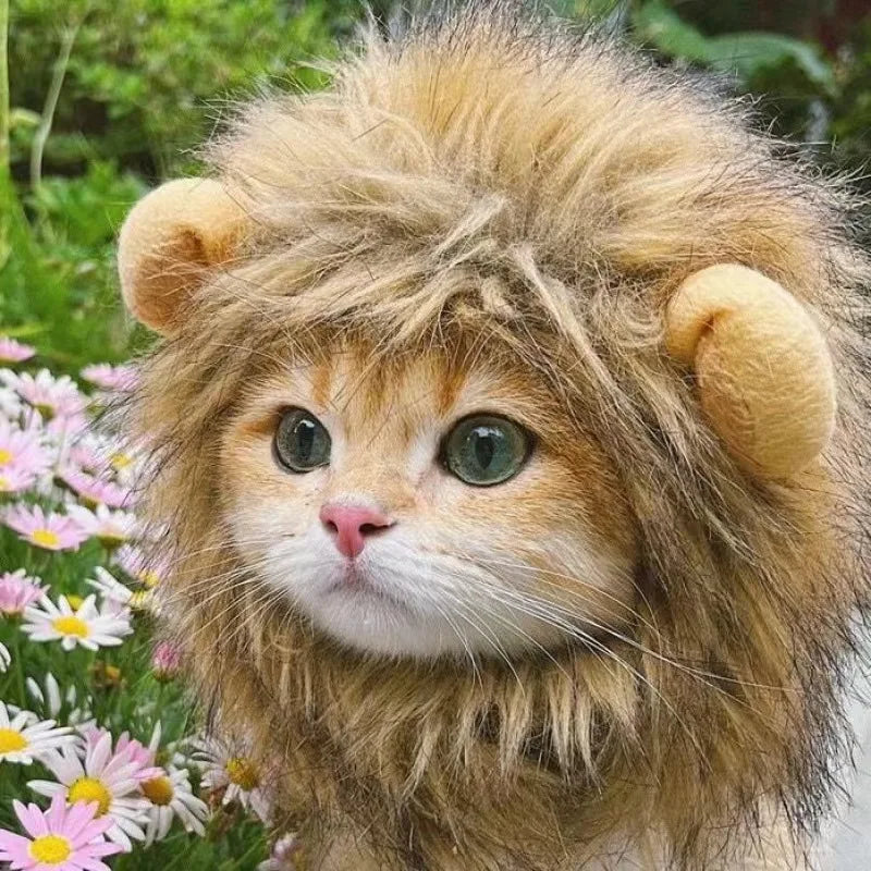 Lion Mane Pet Wig – Turn Your Cat or Dog into the King of the Jungle! 🦁