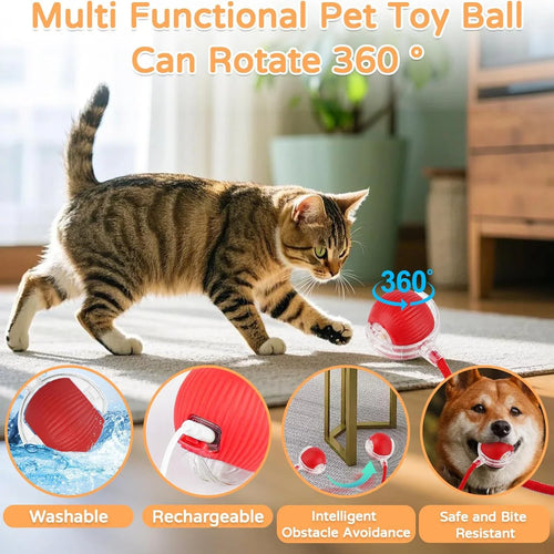 Smart Pet Interactive Rolling Ball Toy – Dog & Cat Electric Training Fun ⚡🐾