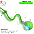 Smart Pet Interactive Rolling Ball Toy – Dog & Cat Electric Training Fun ⚡🐾