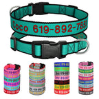 🐶 Adjustable Nylon Embroidered Dog Collar – Custom Name ID Tag