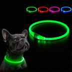 🐶 LED Light Dog Collar – USB Rechargeable, Luminous & Anti-Lost